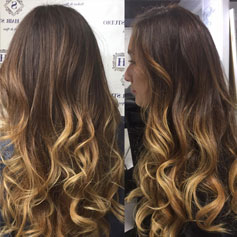 Hair Stylist Florida