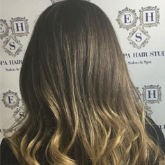 Balayage Coral Gables FL